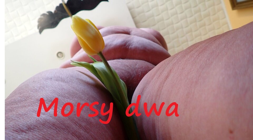 Kwiatki cd. - Morsy_dwa