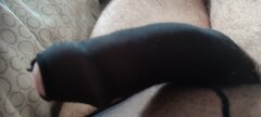 IMG_20260330_170008.jpg