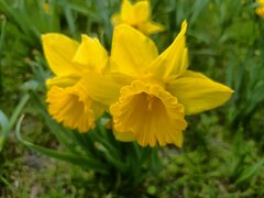 IMG20260402162224.jpg