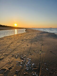 IMG_2941.jpeg