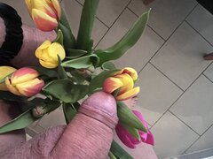 IMG_5456.jpeg