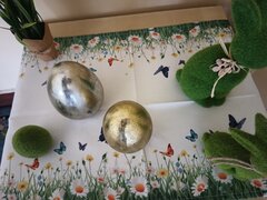 IMG_20260403_103641858.jpg
