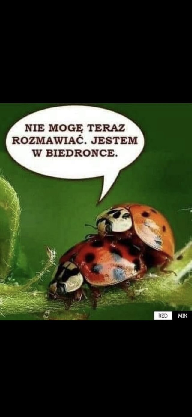 Mydwoje1971