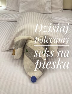 🤣🐶