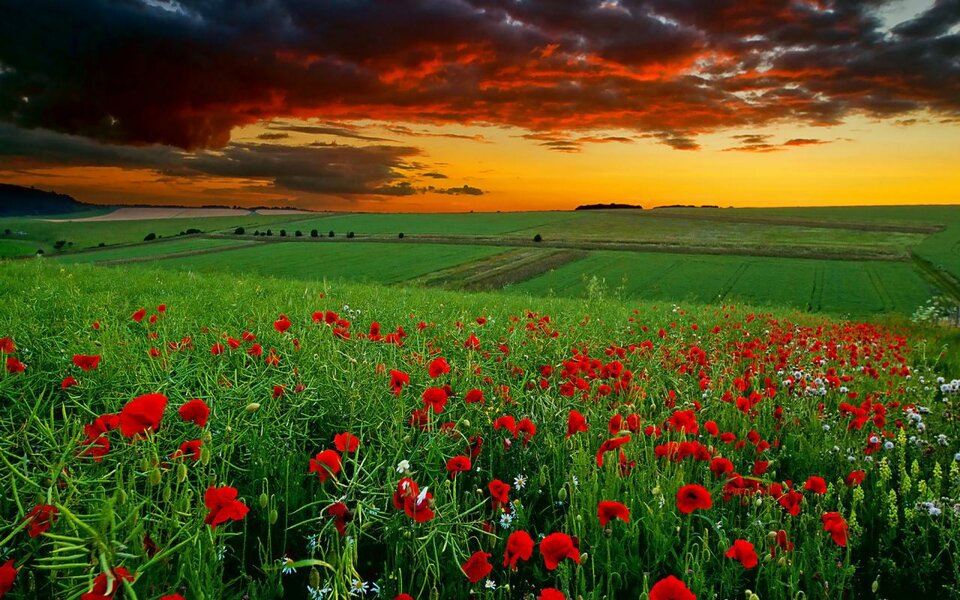 nature-hd-images-14.jpg - Boguss666