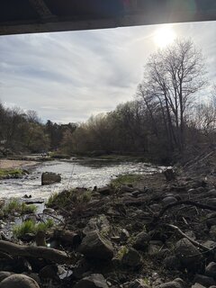 IMG_6767.jpeg