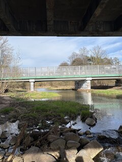 IMG_6768.jpeg