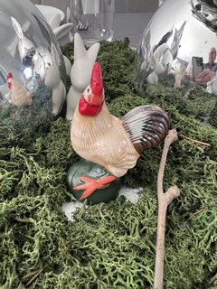 IMG_5578.jpeg