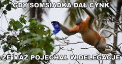 FB_IMG_1737142054187.jpg