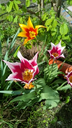 IMG20250420163420.jpg