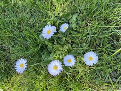IMG_5649.jpeg