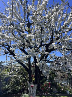 IMG_5648.jpeg