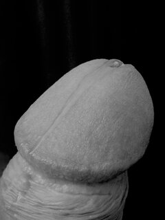 IMG_1363.jpeg