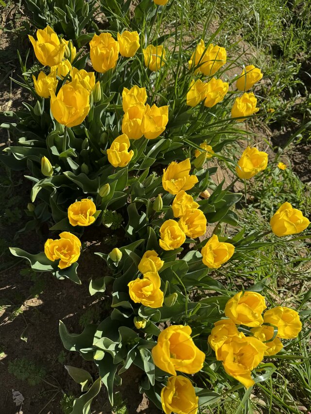 destroy