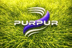 PURPUR - SPRING