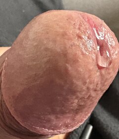 IMG_5288.jpeg
