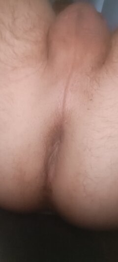 13203.jpg