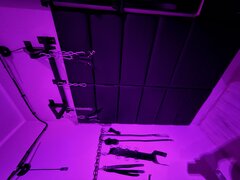 IMG_2146.jpeg