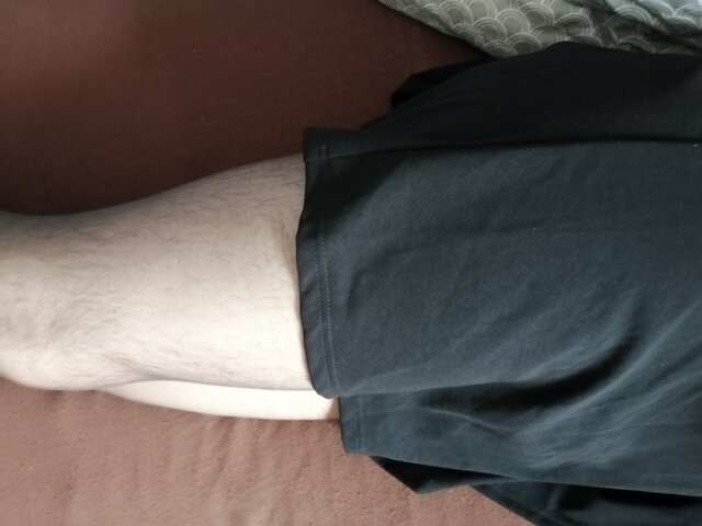polaninpromotor