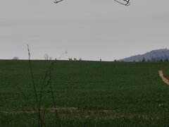 1000024690.jpg