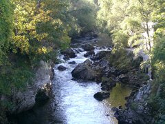 CIMG0403.JPG