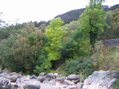 PICT1591.JPG