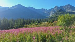 IMG-20240814-WA0006.jpg