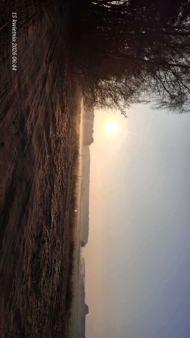 Wracamy40
