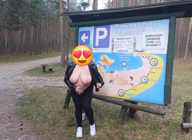 Reksiki