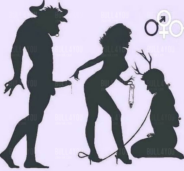 bull4you