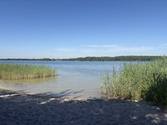 IMG_0186.jpeg