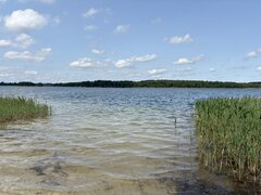IMG_0113.jpeg