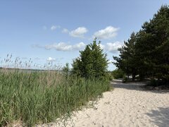 IMG_0115.jpeg