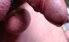 IMG_20260417_120733.jpg