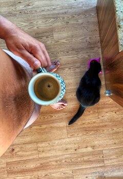 ☕️😻🤣