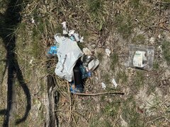 IMG_3383.jpeg