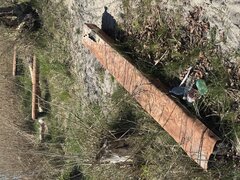 IMG_3384.jpeg