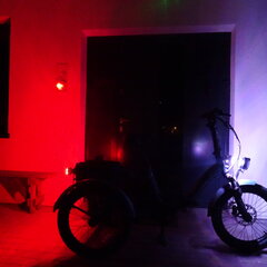 DSC05076.JPG