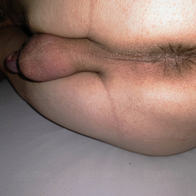 damskomeski2
