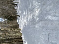 IMG_5433.jpeg