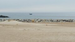 IMG_20260419_075441.jpg