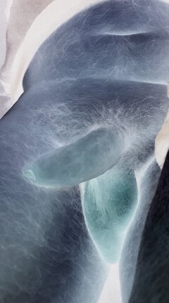 IMG_2675.jpeg