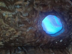 IMG_20260411_141322_742.jpg