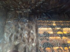 IMG_20260411_141325_093.jpg