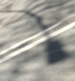 IMG_20260421_122524.jpg