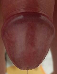 20260328_235724.jpg