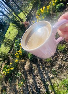 IMG_0266.jpeg