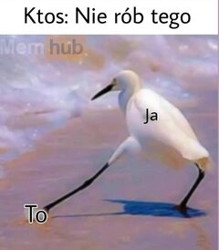 1000009853.jpg