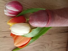 246.jpg