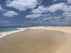 IMG_4090.jpeg